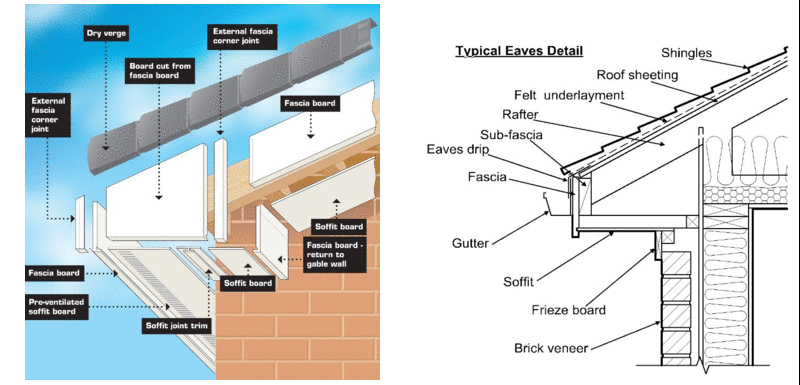 Fascia